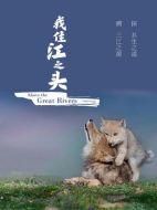 我住江之頭劇情介紹(1-5全集)