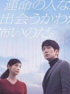 黃昏流星群劇情介紹(1-10全集)