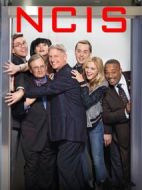 海軍罪案調(diào)查處第十四季劇情介紹(1-24全集)