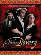 包法利夫人劇情介紹(1-4全集)