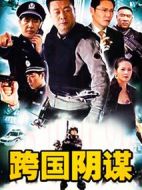 跨國陰謀劇情介紹(1-20全集)