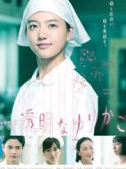 透明的搖籃劇情介紹(1-10全集)