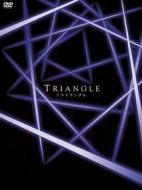 三角迷蹤劇情介紹(1-11全集)