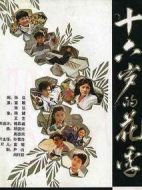 十六歲的花季劇情介紹(1-12全集)