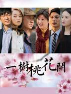 一樹桃花開DVD劇情介紹(1-42全集)