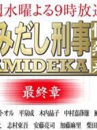 はみだし刑事情熱系最終章