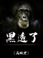 高級黑劇情介紹(1-20全集)