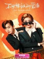 不可思議的愛(ài)情 越南語(yǔ)版