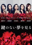 沒有鑰匙的夢劇情介紹(1-5全集)
