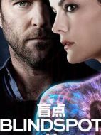 盲點(diǎn)第三季劇情介紹(1-22全集)