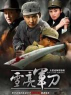 雪亮軍刀劇情介紹(1-20全集)