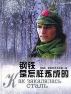 鋼鐵是怎樣煉成的劇情介紹(1-20全集)