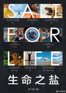 生命之鹽劇情介紹(1-6全集)