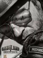 黑幫臥底第二季