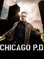 芝加哥警署第五季