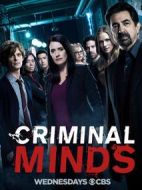 犯罪心理第十三季劇情介紹(1-22全集)