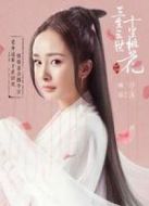 三生三世楊冪CUT