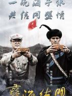 彝海結(jié)盟劇情介紹(1-36全集)