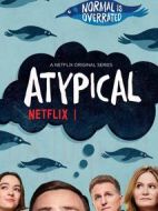 非典型孤獨(dú)第一季劇情介紹(1-8全集)