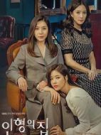 玩偶之家劇情介紹(1-100全集)