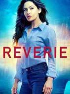 虛擬幻夢劇情介紹(1-10全集)