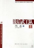 敵后武工隊劇情介紹(1-29全集)