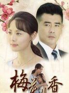 梅花兒香劇情介紹(1-49全集)