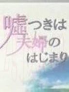 說謊的婚姻劇情介紹(1-12全集)