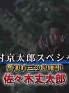 警視廳三星刑警佐佐木丈太郎劇情介紹(1-1全集)