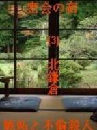 暴力社長(zhǎng)不倫殺人事件