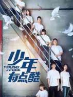 少年有點(diǎn)酷劇情介紹(1-12全集)