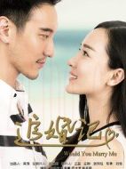 追婚記劇情介紹(1-41全集)