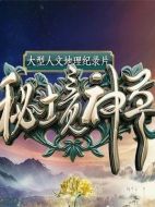 秘境神草劇情介紹(1-全集)