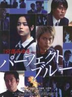 完美的藍劇情介紹(1-11全集)