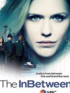 陰陽界劇情介紹(1-10全集)