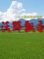 沃野飄香劇情介紹(1-26全集)