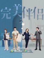 完美伴侶[DVD版]