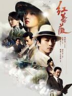 紅薔薇劇情介紹(1-48全集)