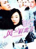 像風(fēng)一樣離去劇情介紹(1-25全集)