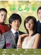 綠色馬車劇情介紹(1-113全集)