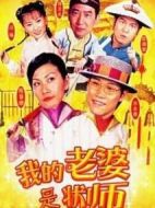 我的老婆是狀師