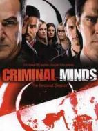 犯罪心理第二季劇情介紹(1-24全集)