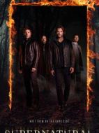 邪惡力量第十二季劇情介紹(1-23全集)