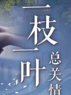 一枝一葉總關(guān)情海報(bào)