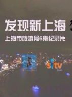 發(fā)現(xiàn)新上海劇情介紹(1-6全集)