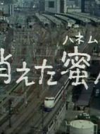 消失的蜜月海報