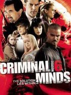 犯罪心理第六季劇情介紹(1-24全集)