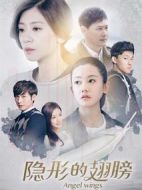 隱形的翅膀劇情介紹(1-44全集)