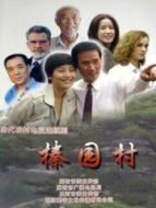 榛園村劇情介紹(1-28全集)
