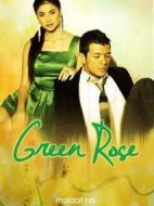 綠薔薇劇情介紹(1-73全集)